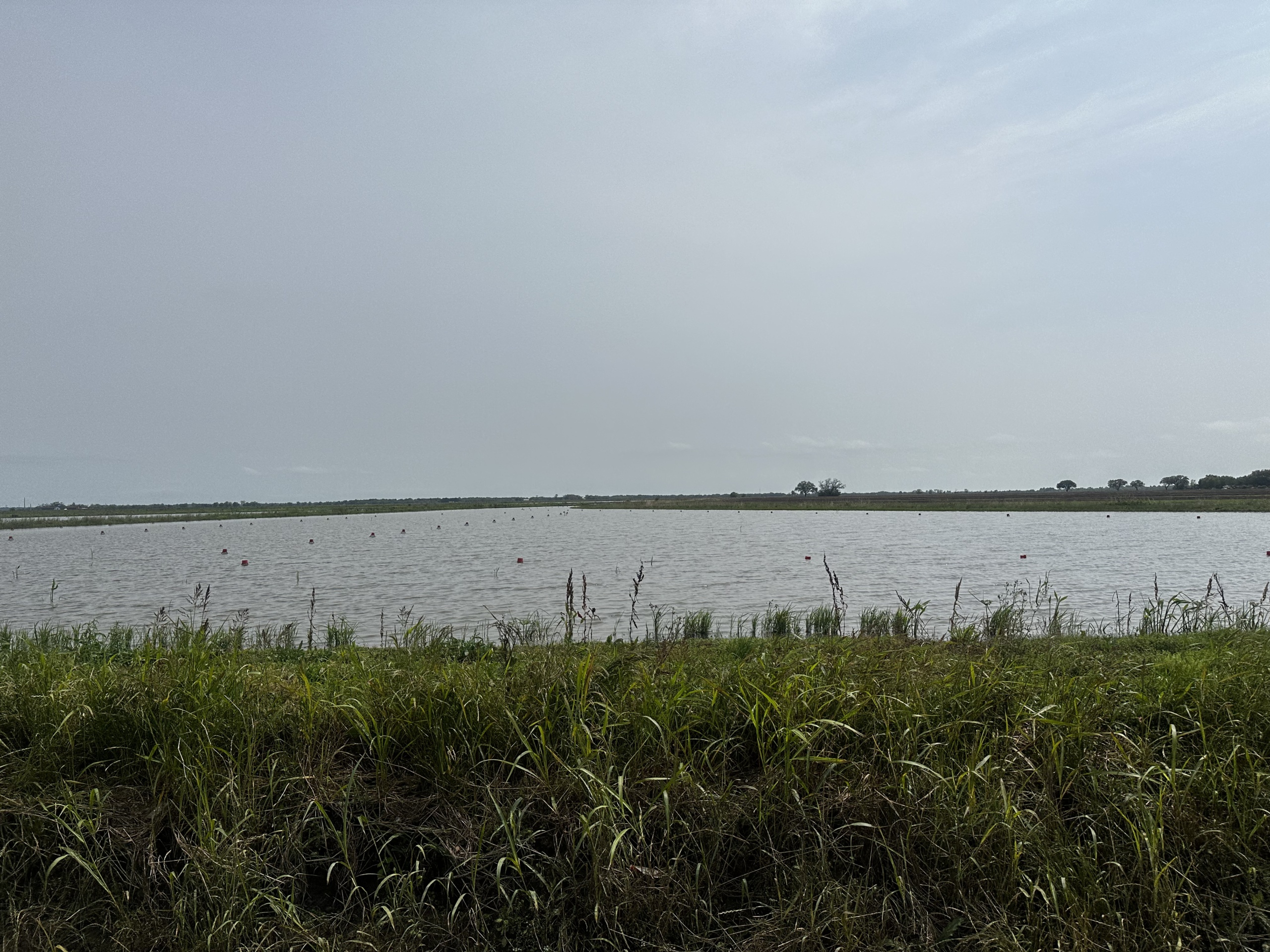 Crawfish Farm